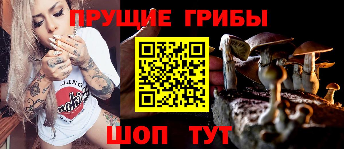 Псилоцибиновые грибы прущие грибы  Галлюциногенные грибы прущие грибы  Егорьевск  Вход с VPN 